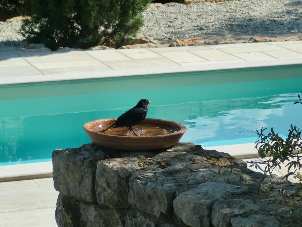 Villa Splendissima Krk - Adults Only Крк Экстерьер фото